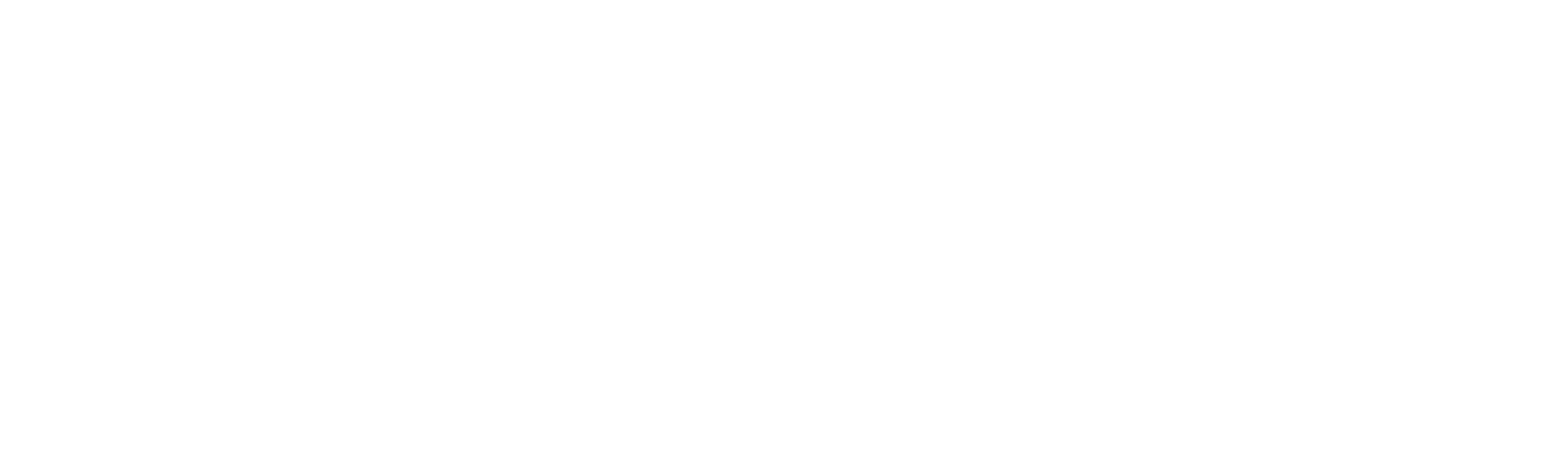 FiwiMail — established 2020